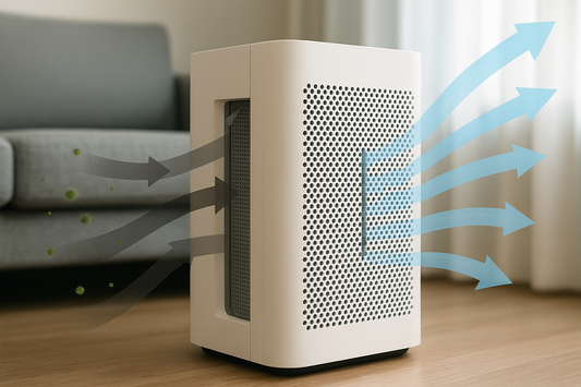 what does an air purifier do to the atmosphere?