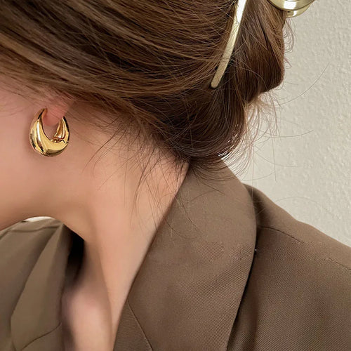 Elegant Earring